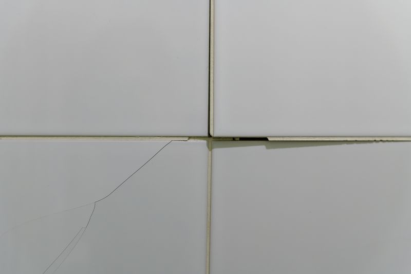 Broken Tile Repair